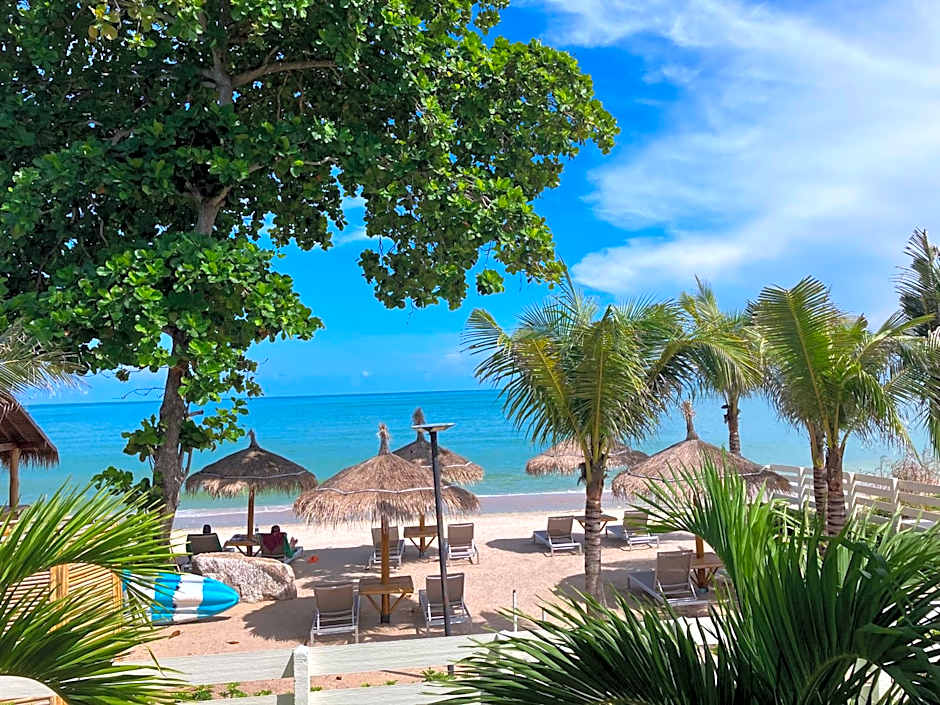 Le Petit Saint Tropez