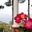 Grand Hotel Miramare