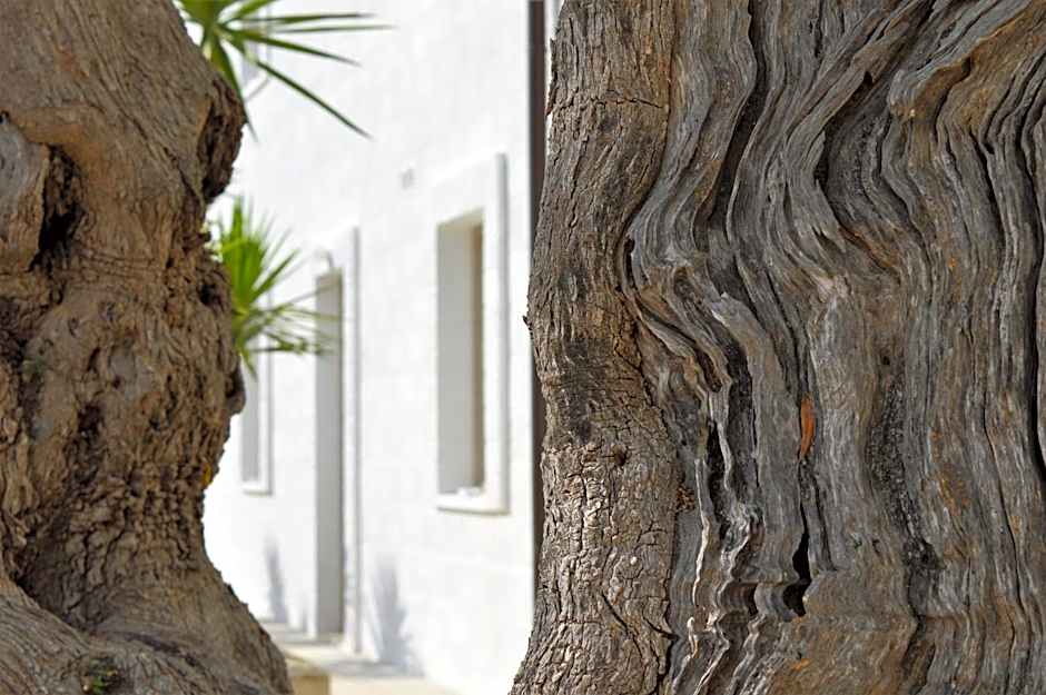 Masseria Torrepietra