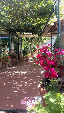 Villa dei fiori B&B