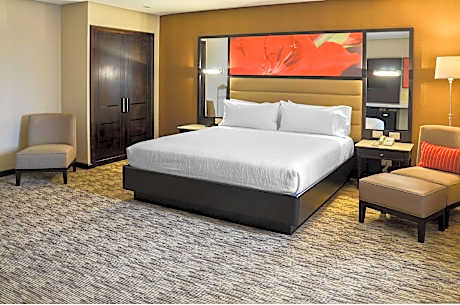 1 King Bed Junior Suite