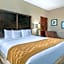 Comfort Inn & Suites Allen Park - Dearborn
