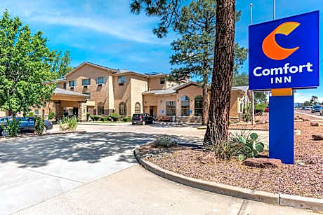 Comfort Inn Payson