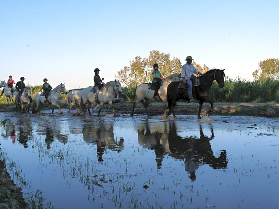 Bergerie d'Alivon en Camargue