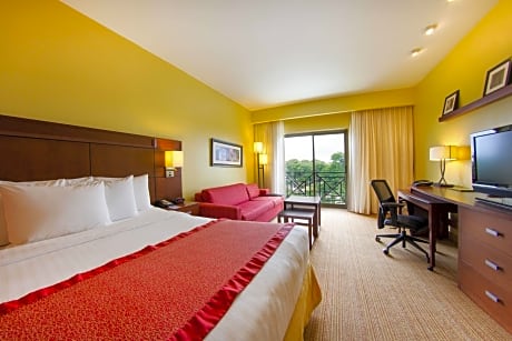 Room, 1 King Bed