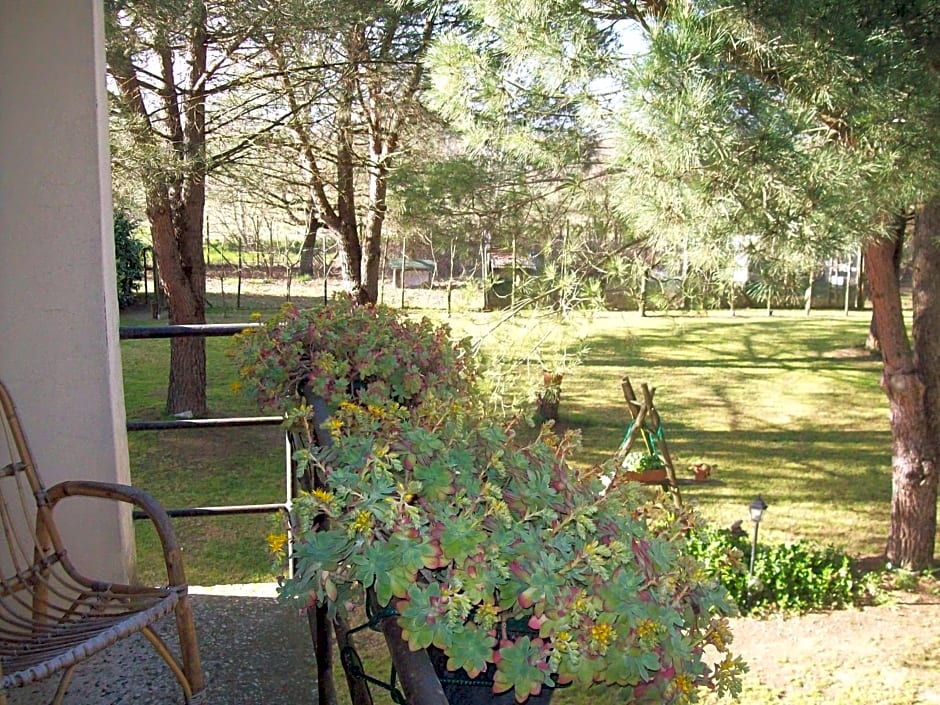 Campo alle Monache