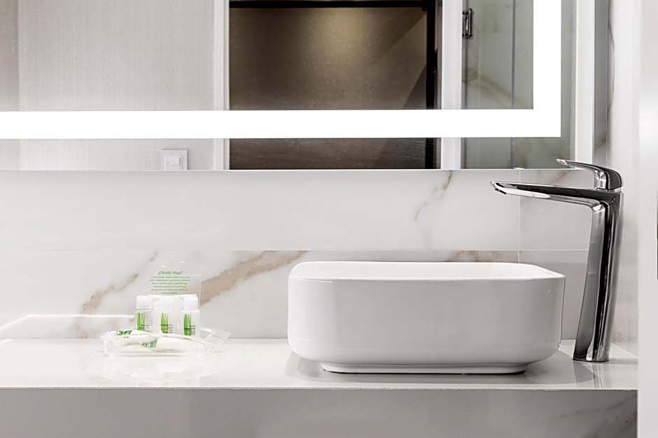 Holiday Inn Rosario By IHG