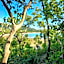 Thala Beach Nature Reserve