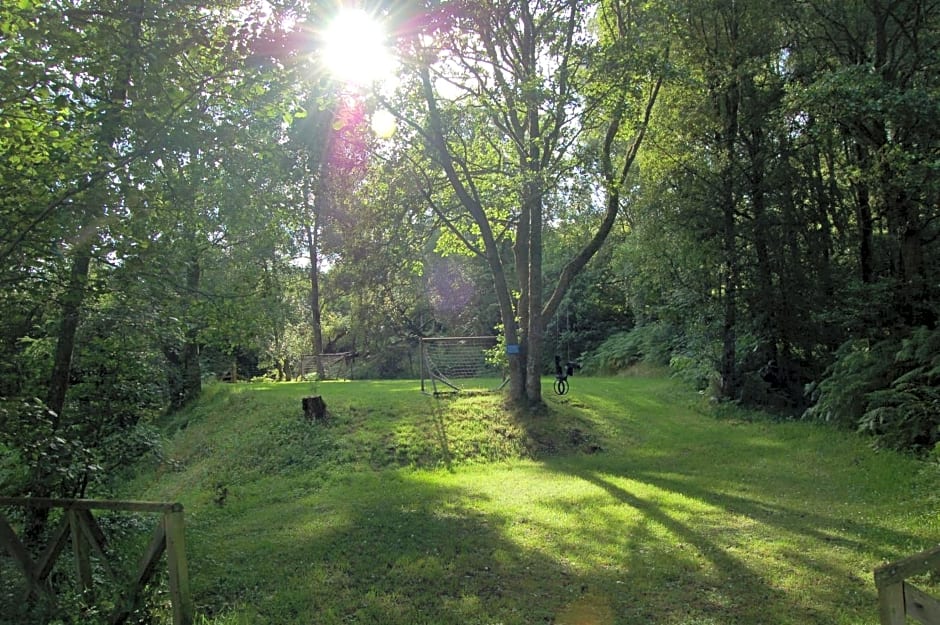 Luxury woodland Alder Lodge