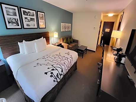 King Suite - Accessible/Non-Smoking