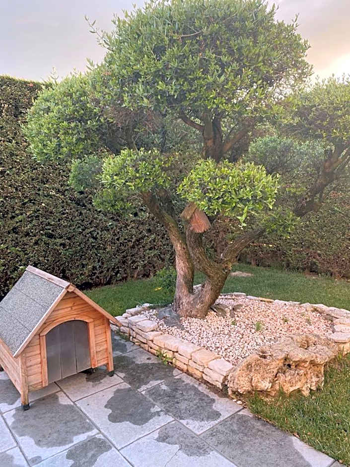 Wooden house