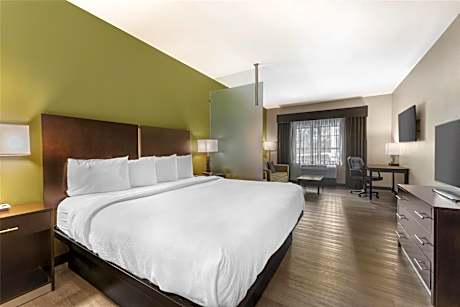 King Suite with Sofa Bed - Non-Smoking