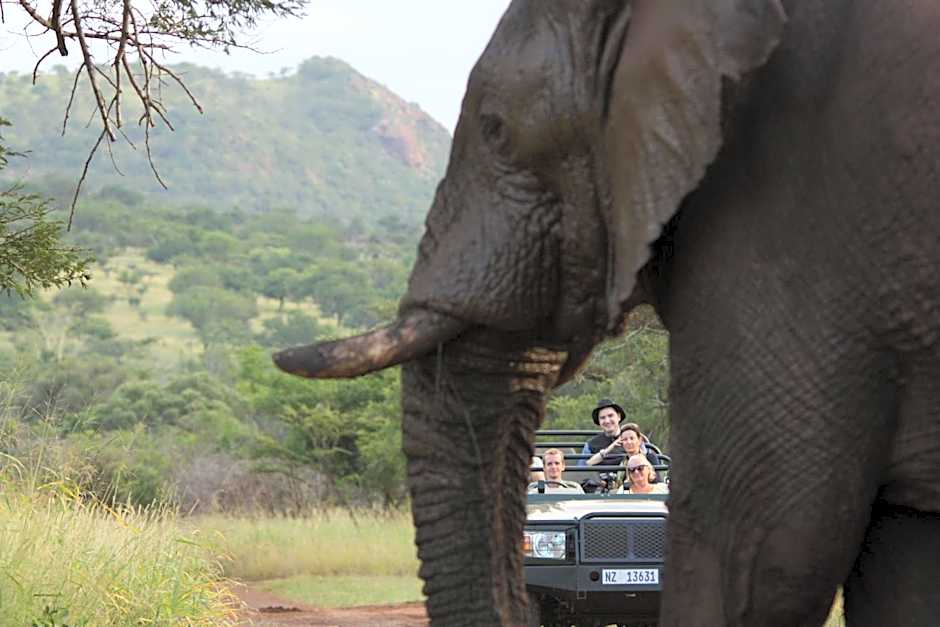 Leopard Mountain Safari Lodge