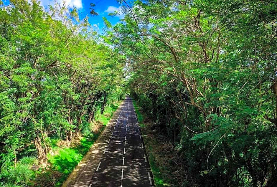 La Pause Fraicheur du Nord - 1 à 6 Personnes - Martinique