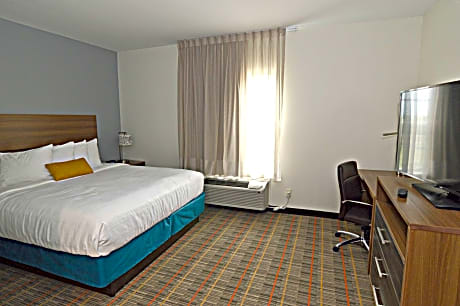 Accessible - Suite King Bed Mobility Accessible Roll In Shower Separate Living Area Kitchenette Sofa