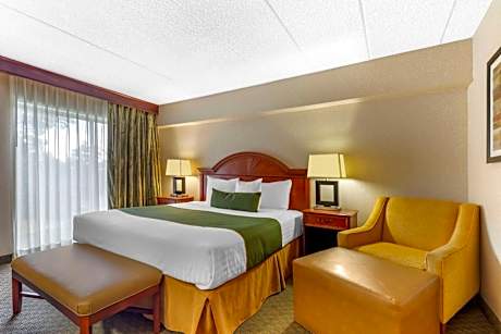 King Suite - Non-Smoking