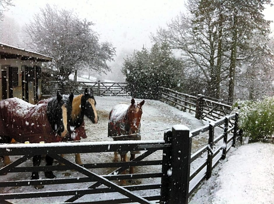 Five Saints Farmhouse B&B