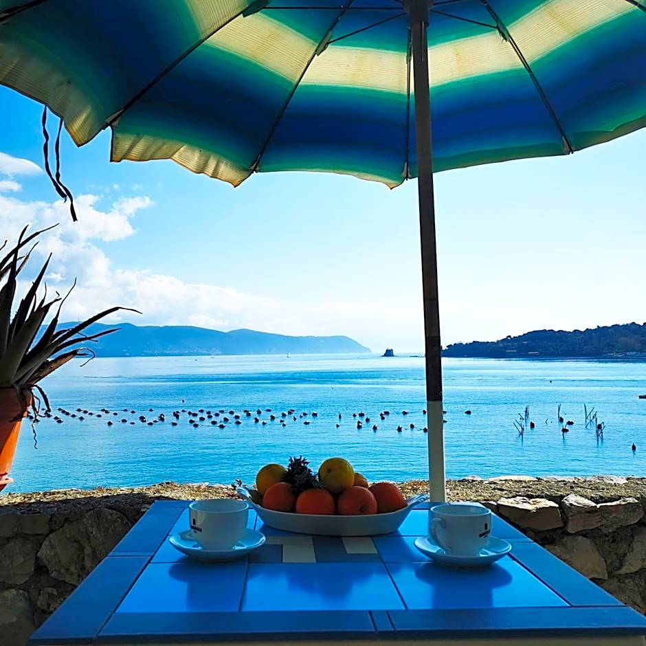 Affittacamere La Palafitta