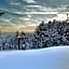 Ski Inn Hakuba