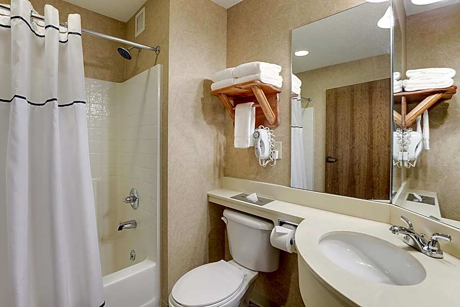 Stoney Creek Hotel & Conference Center - St. Joseph