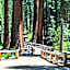 Fairfield Inn & Suites by Marriott Oakhurst Yosemite