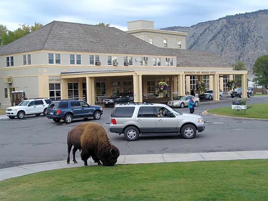 Mammoth Hot Springs Hotel & Cabins