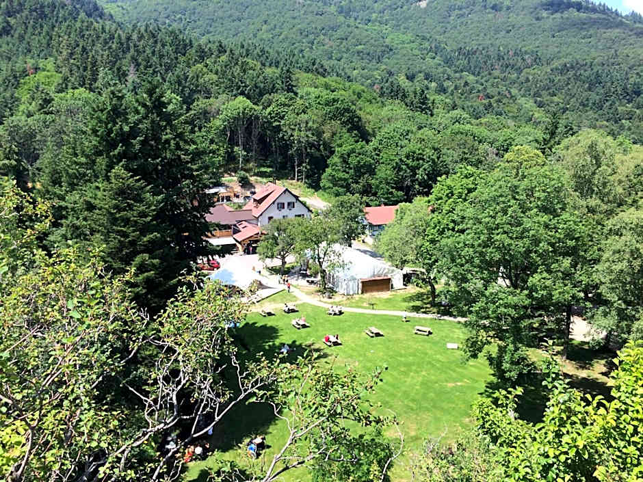 Domaine du Hirtz, Restaurant & Spa