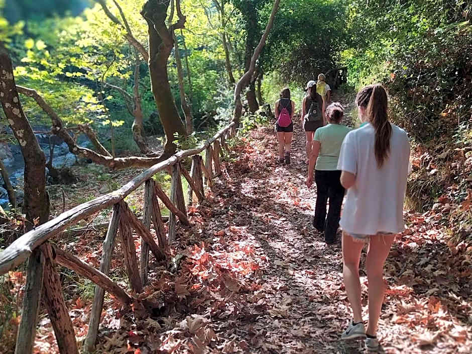 Elix, Mar-Bella Collection