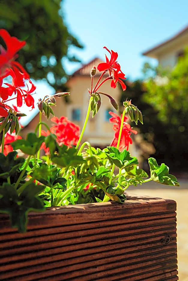 Hotel & Restaurant Hubertus Sehnde