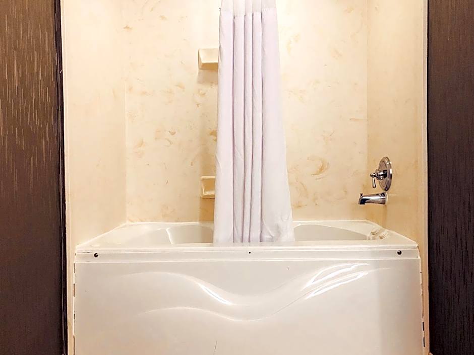 Comfort Inn & Suites Greenville Near Convention Center