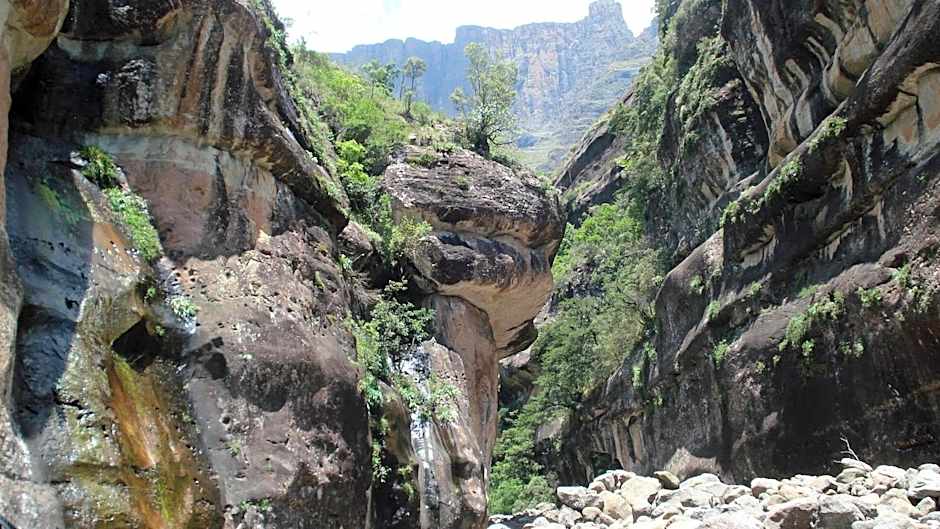 Three Tree Hill Lodge