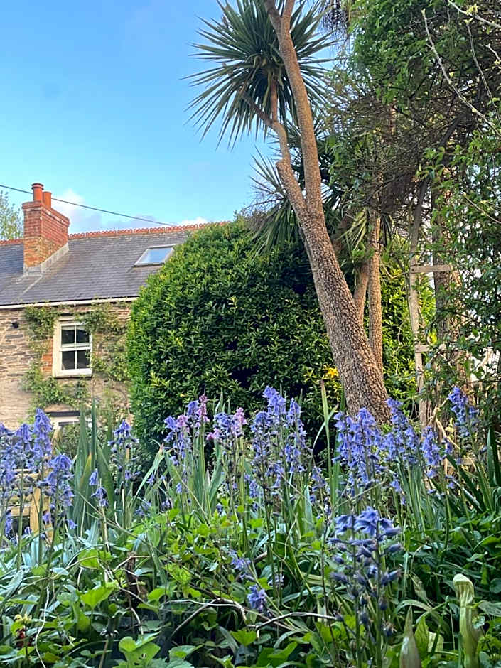 SPRING GARDENS B&B