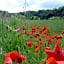 Le Repos Coquelicot