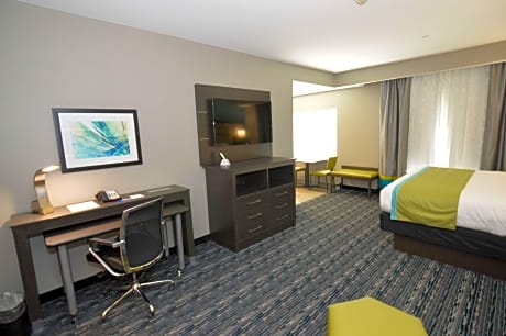 ACCESSIBLE - SUITE KING BED,MOBILITY ACCESSIBLE,BATHTUB,SOFABED,NSMK,FULL BREAKFAST