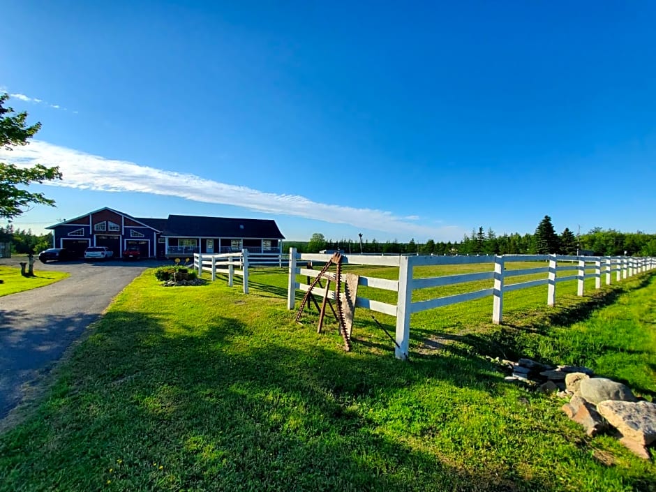 Back Home Bed and Breakfast