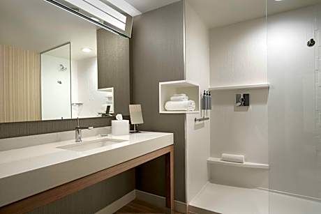 Guest room, 1 King, Sofa bed, High floor