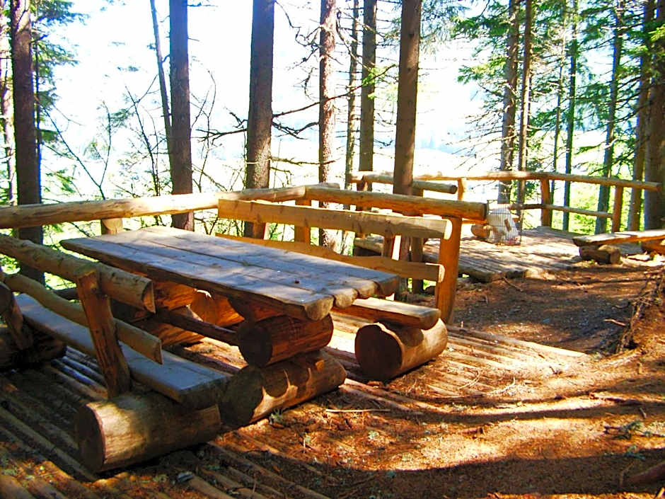 Alpenhotel & Aparthotel Lanz