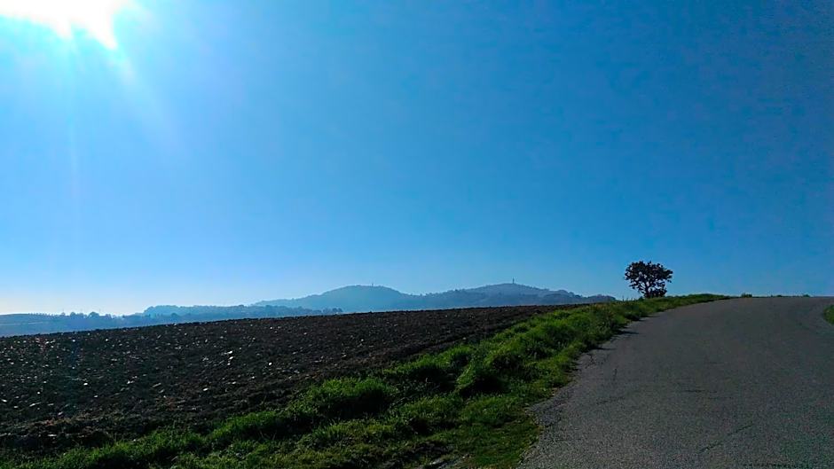 Casa Cairo Rooms&Services