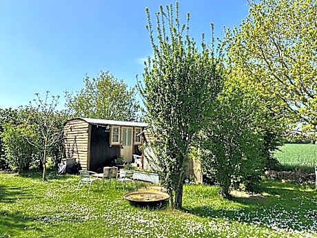 Mr Hares shepherd hut