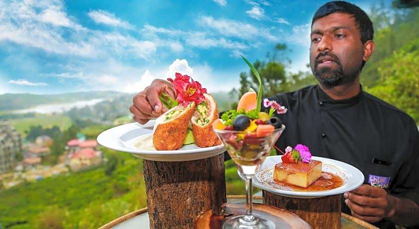 Oak-Ray Summer Hill Breeze Hotel