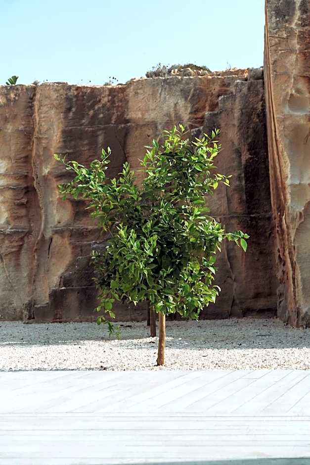 Pirrera Carved Oasis