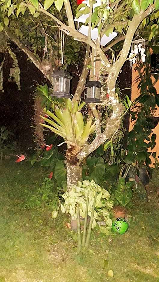 Pousada e SPA Shiva São Sebastião 200mts da praia