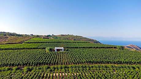 Tenuta di Castellaro Winery & Resort