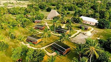 Signature Collections by Eight Continents