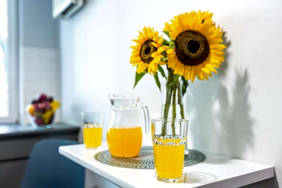 Apart Rooms City Centr