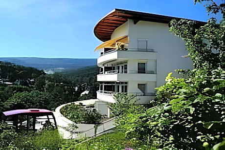 Schwarzwald Panorama
