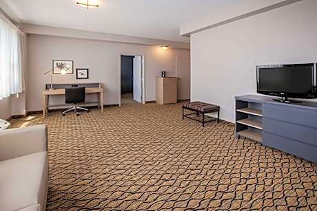 Deluxe King Suite - Non-Smoking