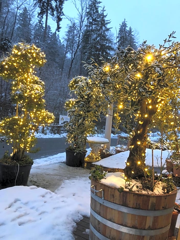 Swiss Star Home