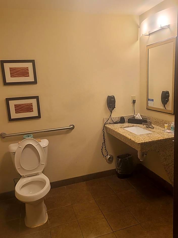 Dothan East Inn & Suites