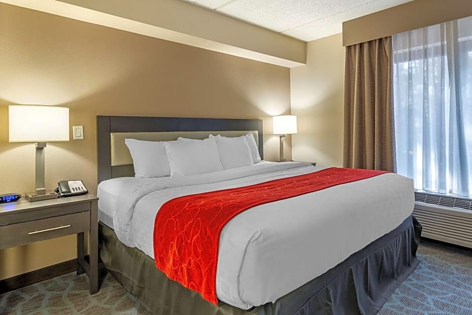 Comfort Suites Alpharetta/Roswell - Atlanta Area